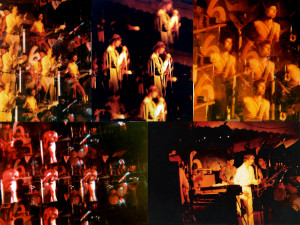 Parousia at Plant-6 1981